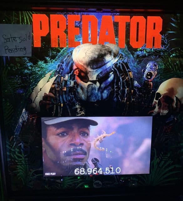 Predator